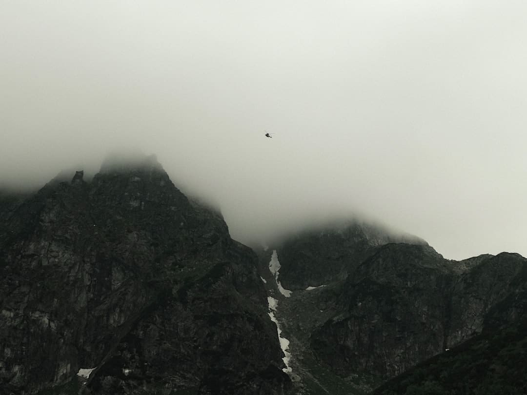 甘肃张掖:玉米青贮忙